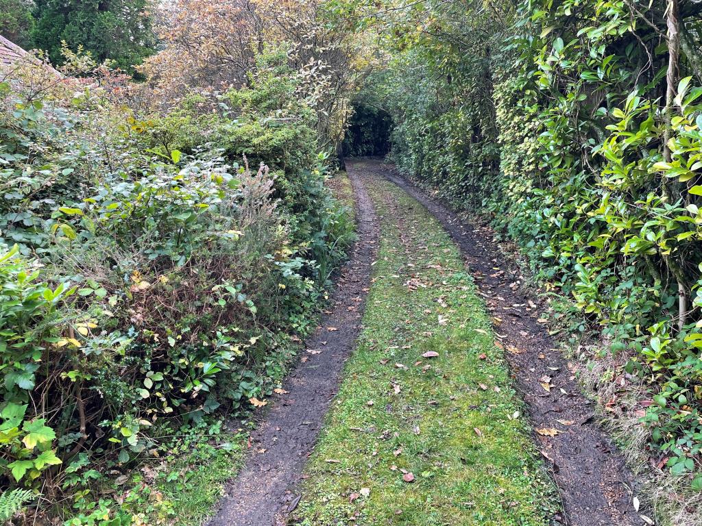 Lot: 153 - DETACHED BUNGALOW WITH POTENTIAL - Driveway